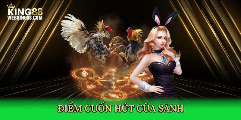 diem-cuon-hut-cua-sanh-3