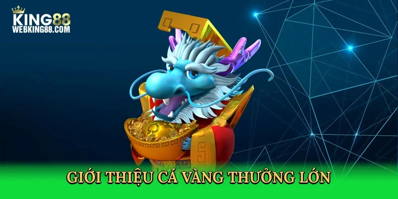 gioi-thieu-ca-vang-thuong-lon-2
