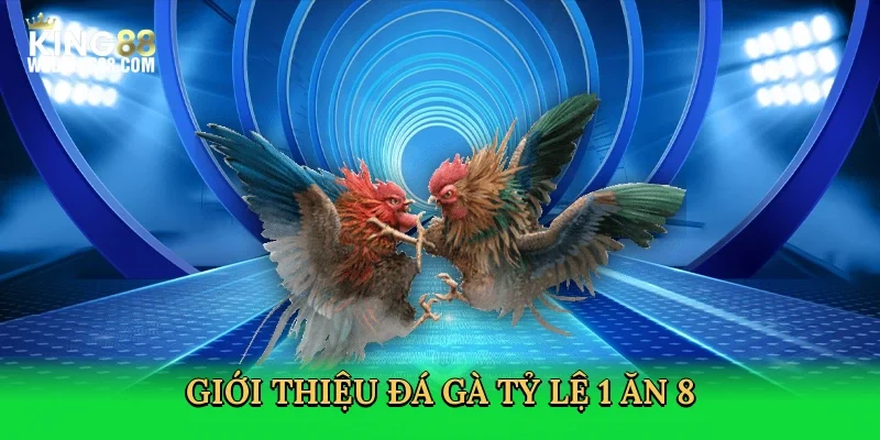 gioi-thieu-da-ga-ty-le-1-an-8-2