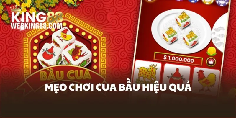 meo-choi-bau-cua