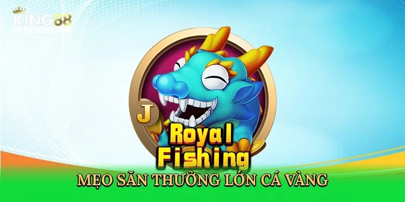 meo-san-thuong-lon-ca-vang-4