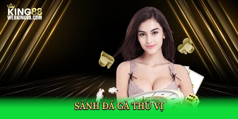 sanh-da-ga-thu-vi