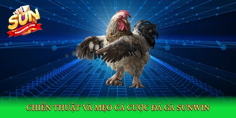 Chiến thuật và mẹo cá cược đá gà Sunwin
