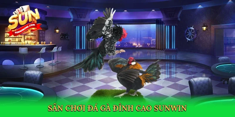 Sân chơi đá gà đỉnh cao Sunwin