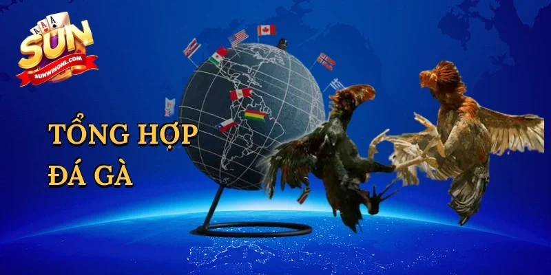 Tổng hợp đá gà