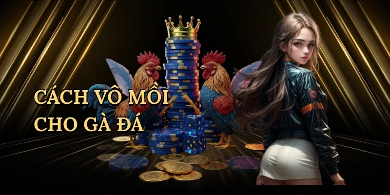 Cách vô mồi cho gà đá