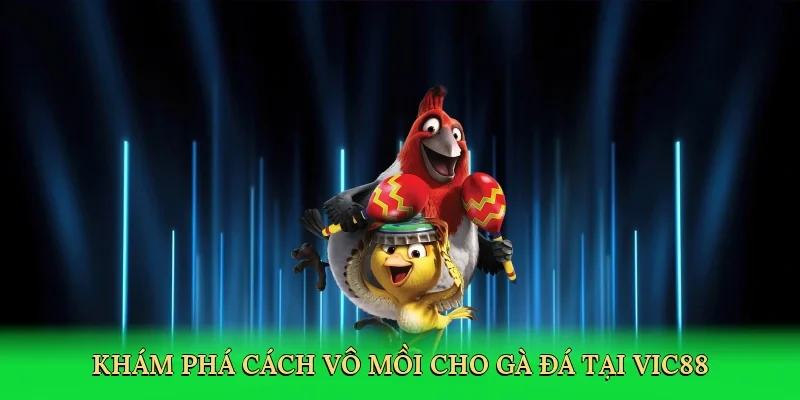 Khám phá cách vô mồi cho gà đá tại Vic88